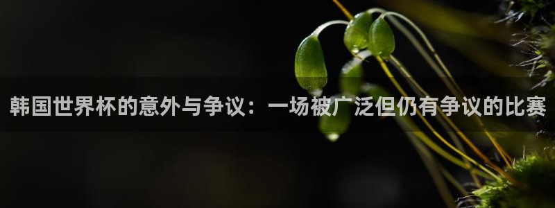 2026世界杯直播:韩国世界杯的意外与争议:一场被广泛但仍有争议的比赛