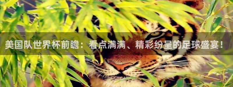 2026世预赛全部赛程:美国队世界杯前瞻:看点满满、精彩纷呈的足球盛宴!