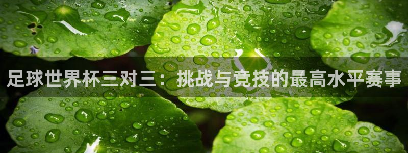 美国世界杯:足球世界杯三对三:挑战与竞技的最高水平赛事