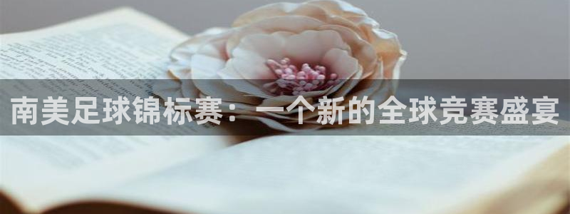 2026世预赛全部赛程:南美足球锦标赛:一个新的全球竞赛盛宴