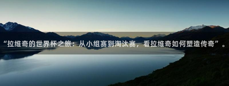 2006年世界杯:“拉维奇的世界杯之旅:从小组赛到淘汰赛,看拉维奇如何塑造传奇”。