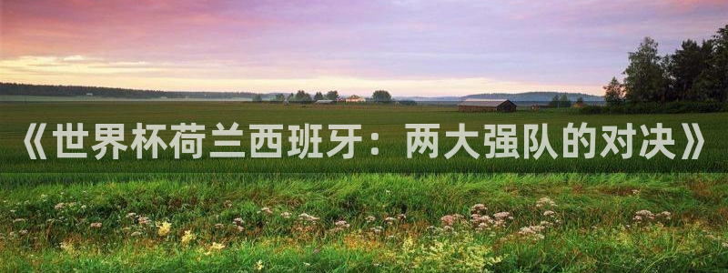 世界杯亚洲区预选赛积分榜:《世界杯荷兰西班牙:两大强队的对决》