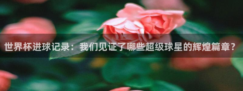 2026 世界杯:世界杯进球记录:我们见证了哪些超级球星的辉煌篇章?